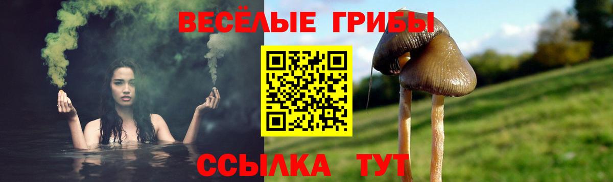 Галлюциногенные грибы мухоморы Нижневартовск